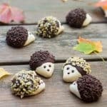 hedgehog cookies