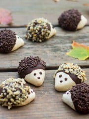 hedgehog cookies on a deck with leaves