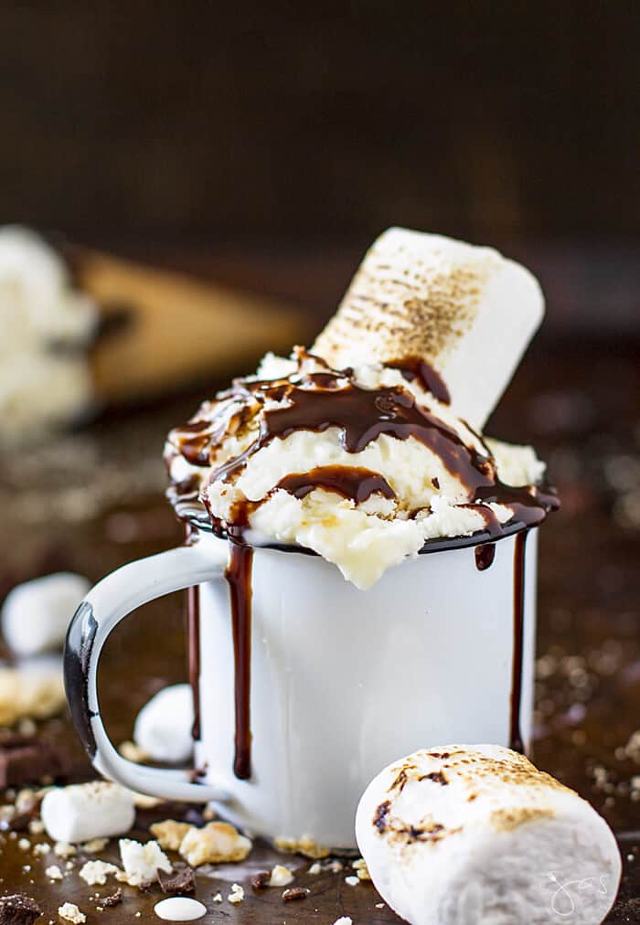 S'mores ice cream in a white enamel cup with a jumbo toasted marshmallow and a chocolate drizzle.
