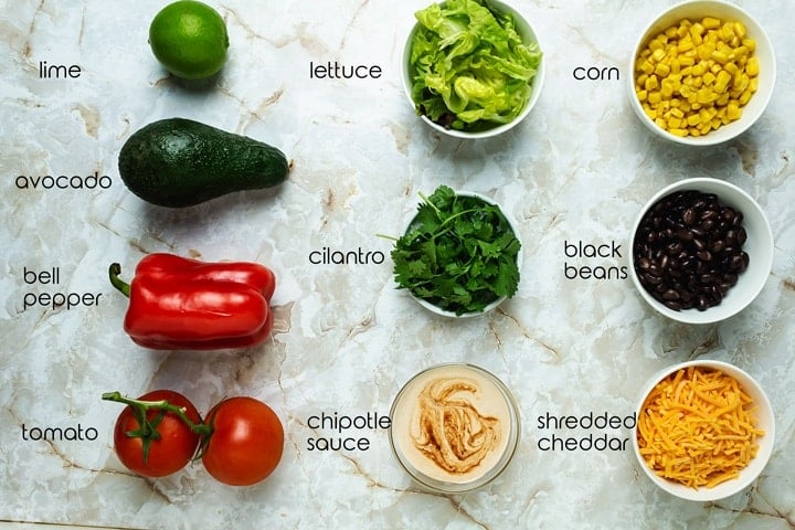 All the toppings for the chipotle copycat burrito bowl recipe