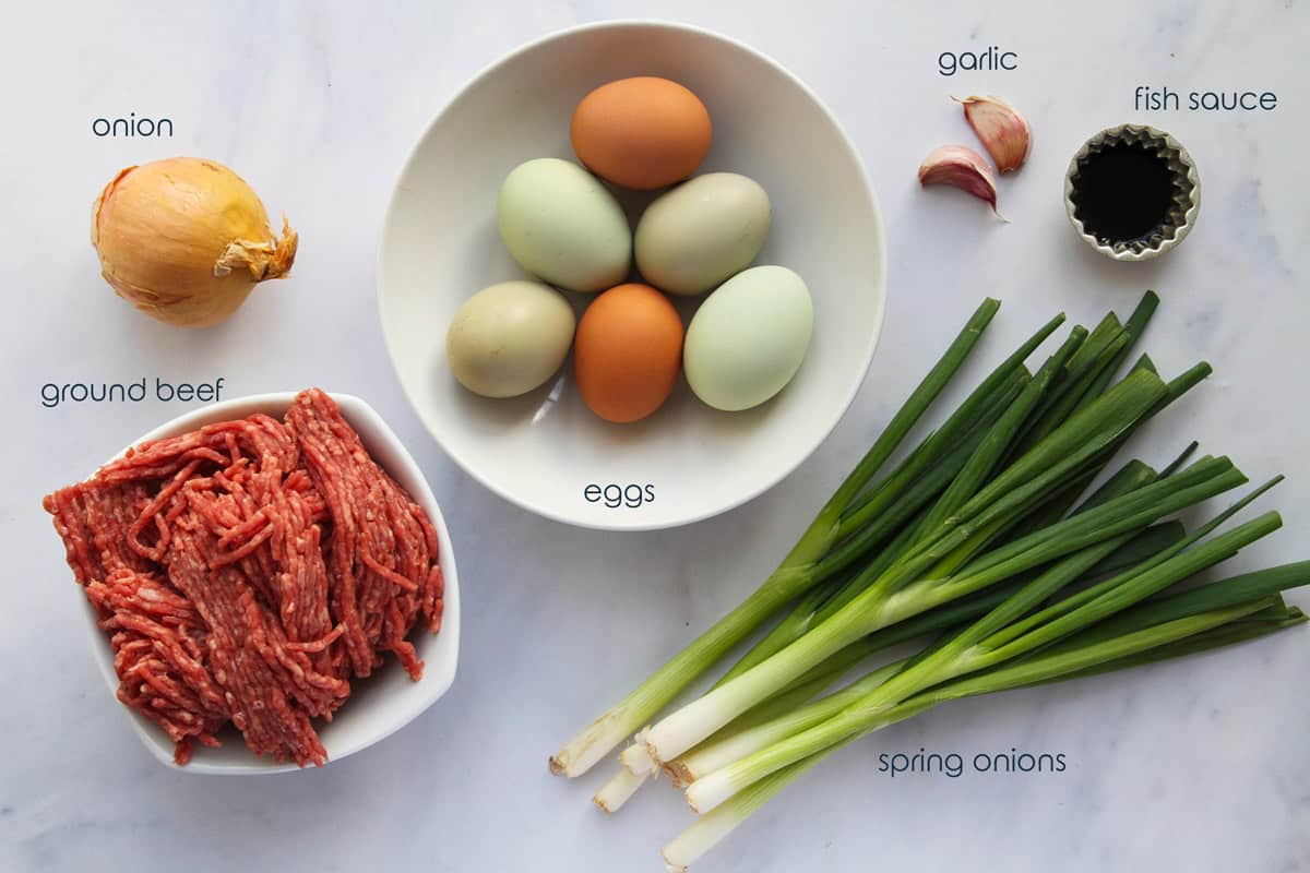 Ingredients for simple beef omelet recipe including ground beef, eggs, and green onions.