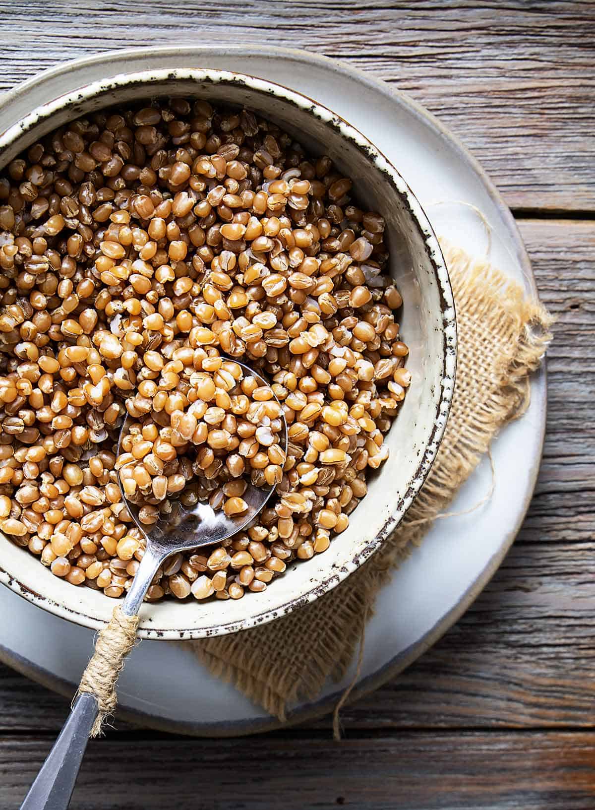 Whole cooked wheat berries in a bowl with a spoon.