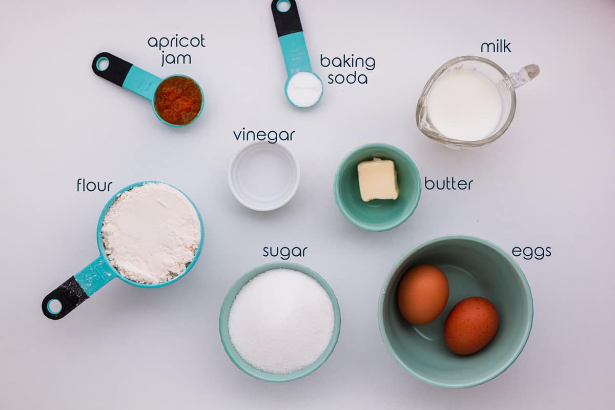 Ingredients for the malva pudding on the counter.